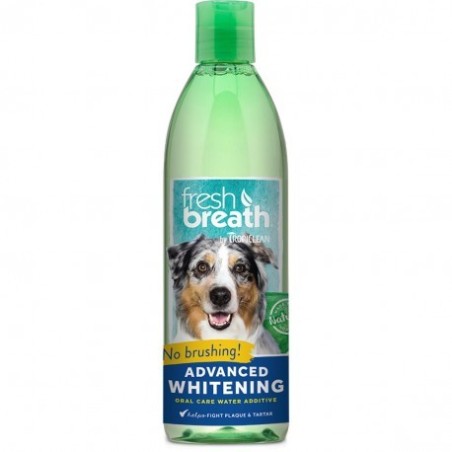 FRESH BREATH ADVANCED WHITENING ORAL CARE WATER 473ml