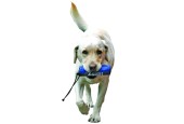 GIOCO ADDESTRAMENTO PER CANI CLIX RETRIEVER