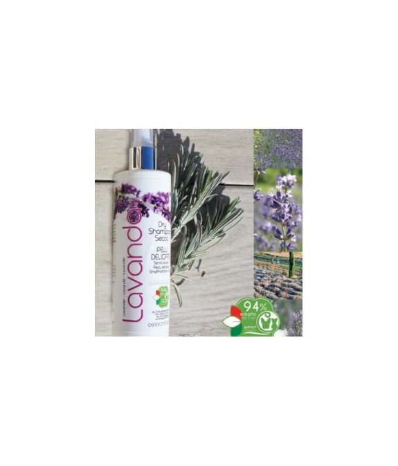 OFFICINALIS SHAMPOO SECCO ALLA LAVANDA PER CANI E GATTI 250 ML