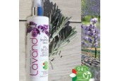 OFFICINALIS SHAMPOO SECCO ALLA LAVANDA PER CANI E GATTI 250 ML