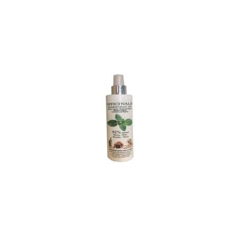 OFFICINALIS SHAMPOO SECCO MENTA 250ml