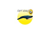 TUFFY OCEAN CREATURE WHALE BALENA