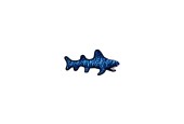 TUFFY OCEAN CREATURE SHARK SQUALO BLU