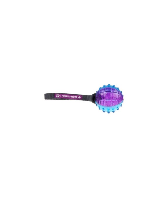 GIOCO GIGWI REGULAR BALL PUSH