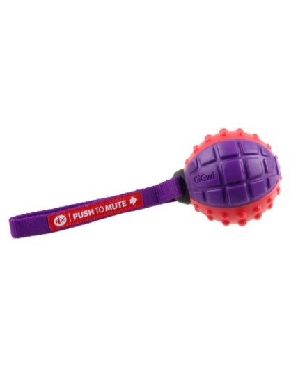 GIOCO GIGWI REGULAR BALL PUSH