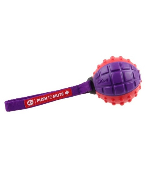 GIOCO GIGWI REGULAR BALL PUSH